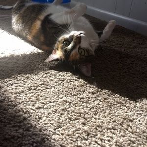 Meet your Posher, Lexi